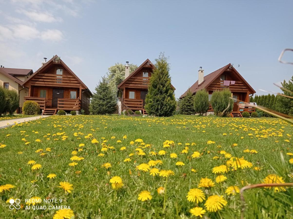 Отель Osrodek Wczasowy "Wczasy Pod Grusza" Biecz Экстерьер фото